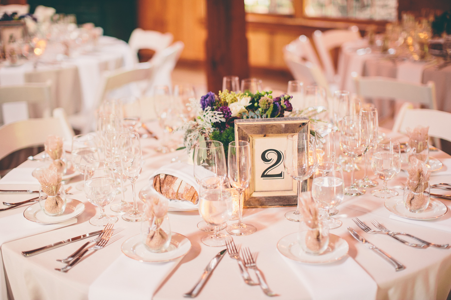 Copyright, Nicole diGiorgio-Sweetness and Light Wedding Photography