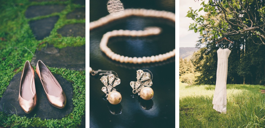 Copyright, Nicole diGiorgio-Sweetness and Light Wedding Photography